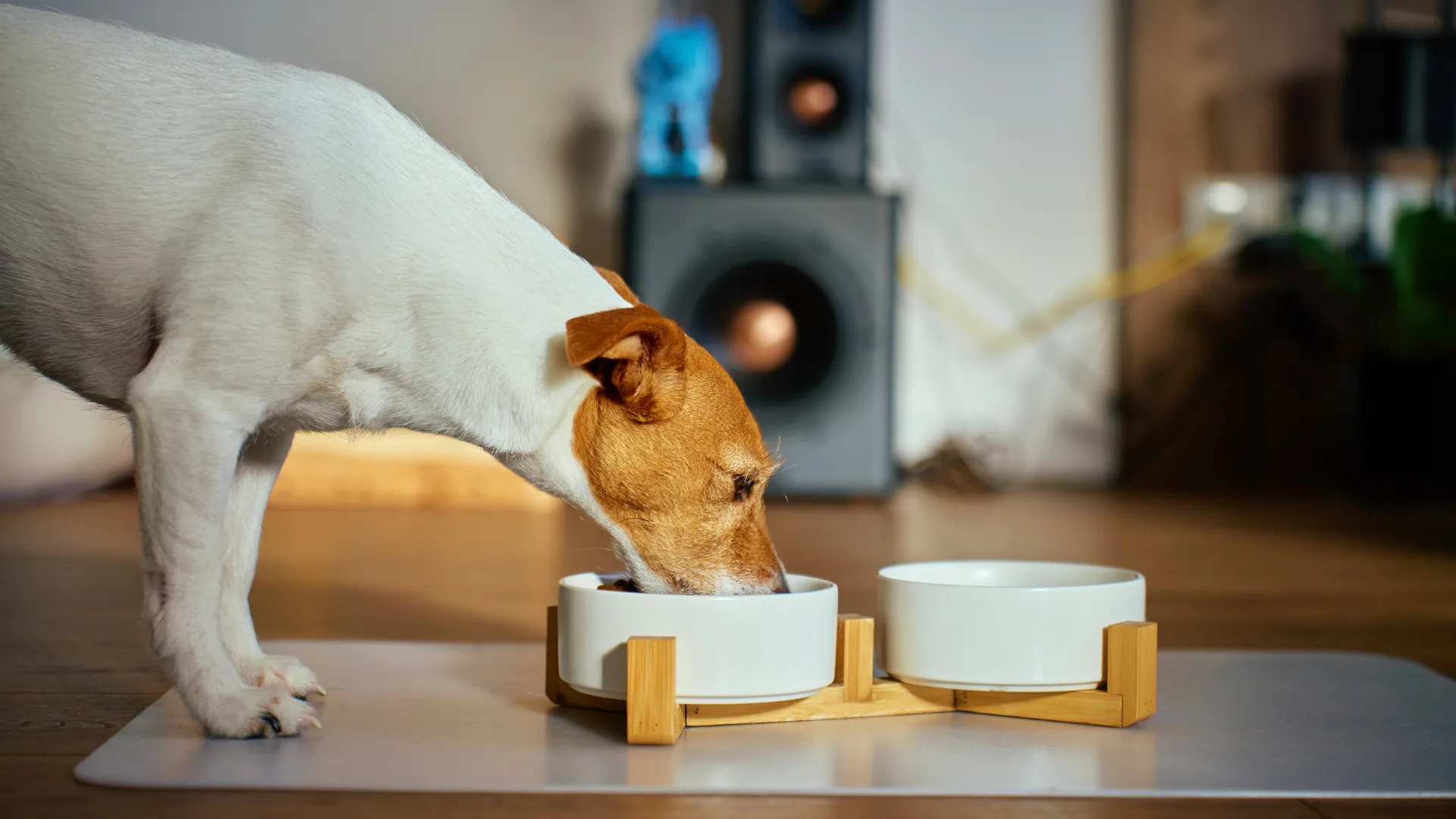 Investigador de laboratorio formulando suplementos veterinarios de alta calidad para mascotas y ganadería